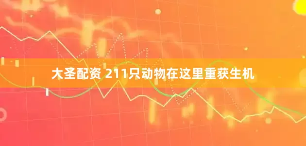大圣配资 211只动物在这里重获生机