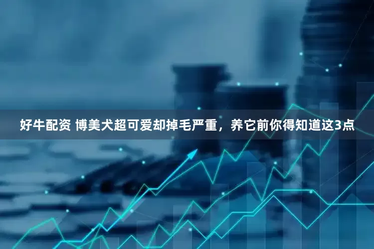好牛配资 博美犬超可爱却掉毛严重，养它前你得知道这3点