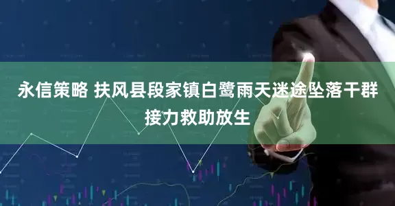 永信策略 扶风县段家镇白鹭雨天迷途坠落干群接力救助放生
