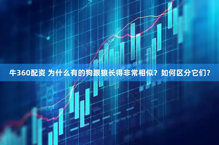 牛360配资 为什么有的狗跟狼长得非常相似？如何区分它们？
